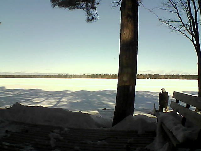 Whiteface Cam Image - Wed, 03/07/2018 9:18am 
