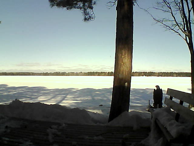 Whiteface Cam Image - Wed, 03/07/2018 9:28am 