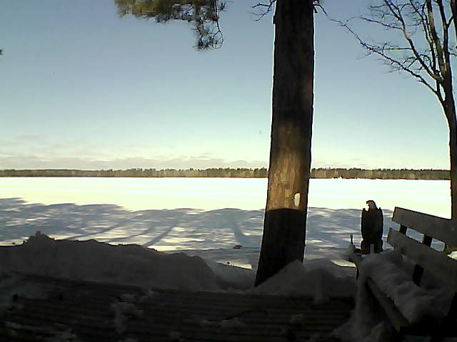 Whiteface Cam Image - Wed, 03/07/2018 9:38am 