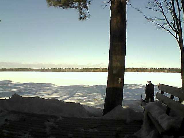 Whiteface Cam Image - Wed, 03/07/2018 9:48am 