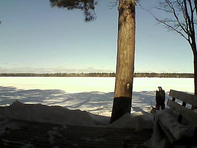 Whiteface Cam Image - Wed, 03/07/2018 9:58am 