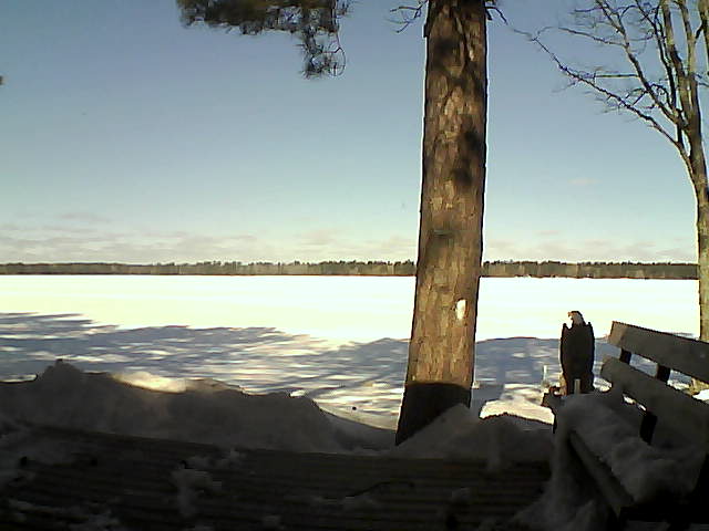 Whiteface Cam Image - Wed, 03/07/2018 10:28am 