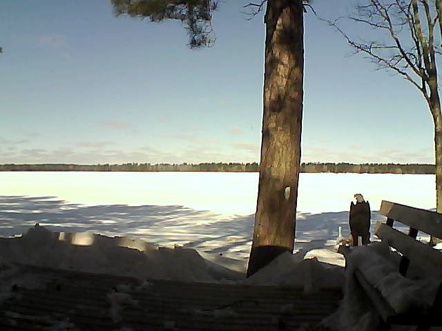 Whiteface Cam Image - Wed, 03/07/2018 10:38am 