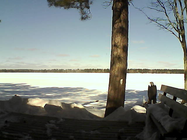 Whiteface Cam Image - Wed, 03/07/2018 10:48am 