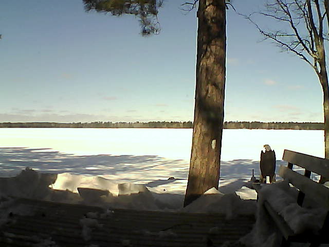 Whiteface Cam Image - Wed, 03/07/2018 10:58am 