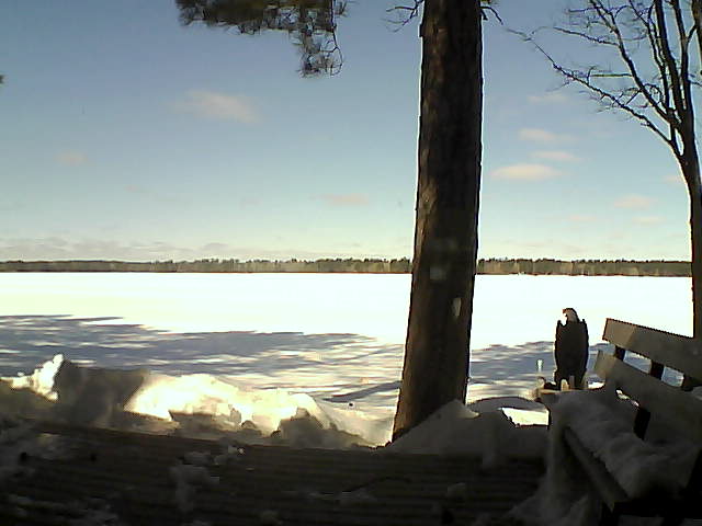 Whiteface Cam Image - Wed, 03/07/2018 11:08am 