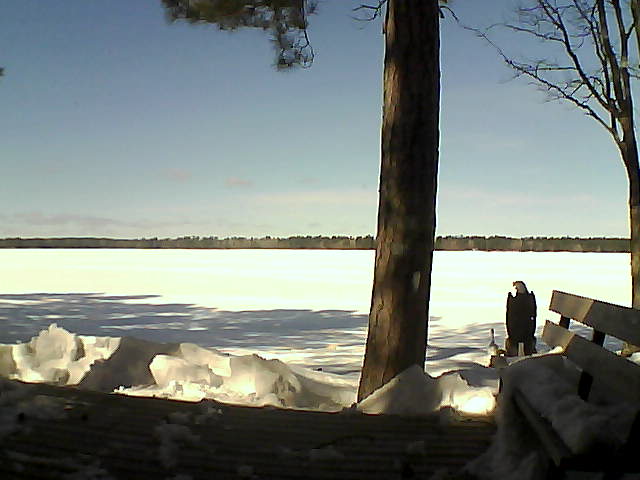 Whiteface Cam Image - Wed, 03/07/2018 11:48am 