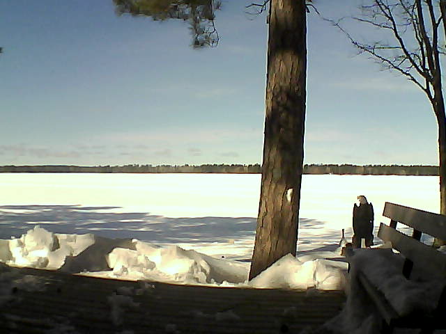 Whiteface Cam Image - Wed, 03/07/2018 11:58am 