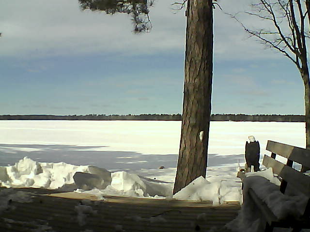Whiteface Cam Image - Wed, 03/07/2018 12:28pm 