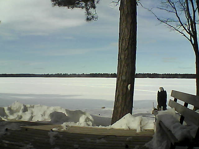 Whiteface Cam Image - Wed, 03/07/2018 12:48pm 