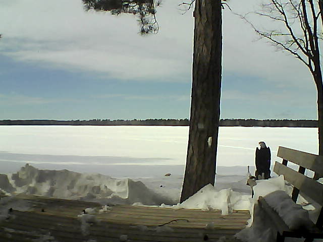 Whiteface Cam Image - Wed, 03/07/2018 1:18pm 