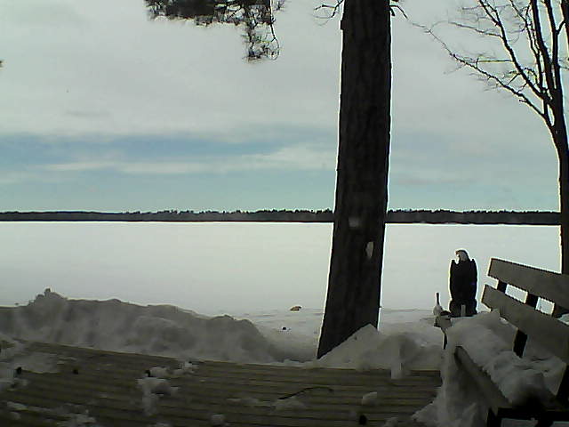 Whiteface Cam Image - Wed, 03/07/2018 1:28pm 