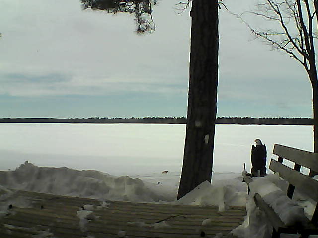 Whiteface Cam Image - Wed, 03/07/2018 1:38pm 