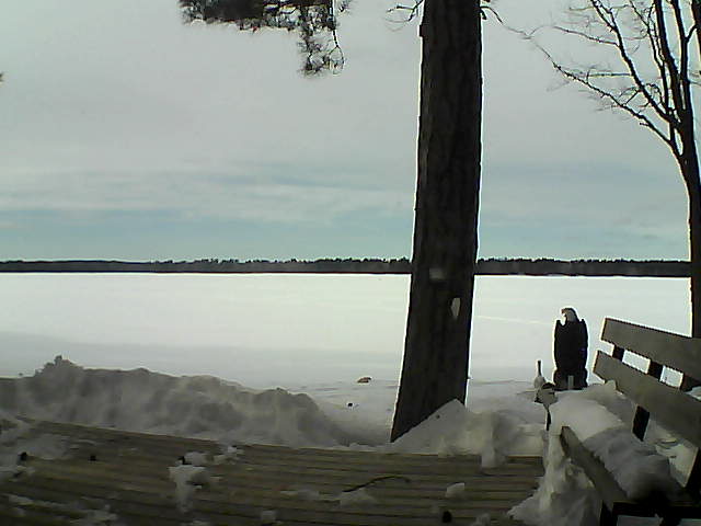 Whiteface Cam Image - Wed, 03/07/2018 1:48pm 