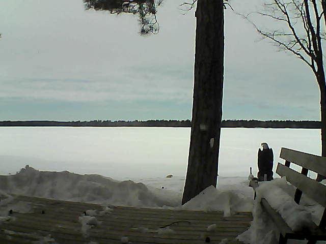 Whiteface Cam Image - Wed, 03/07/2018 1:58pm 