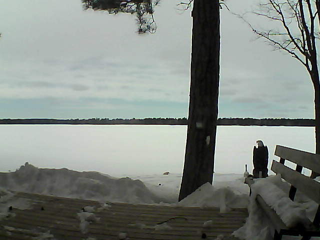 Whiteface Cam Image - Wed, 03/07/2018 2:08pm 