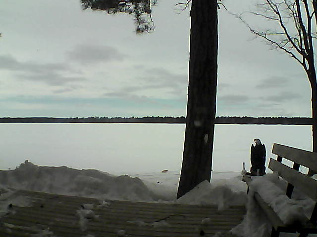 Whiteface Cam Image - Wed, 03/07/2018 2:28pm 