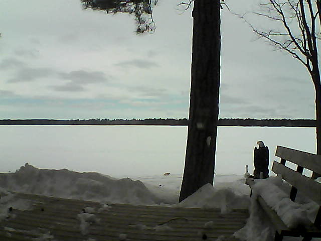 Whiteface Cam Image - Wed, 03/07/2018 2:38pm 