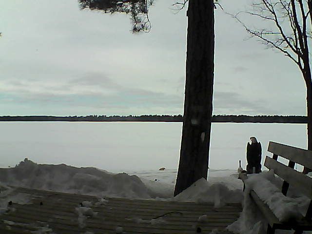 Whiteface Cam Image - Wed, 03/07/2018 2:48pm 