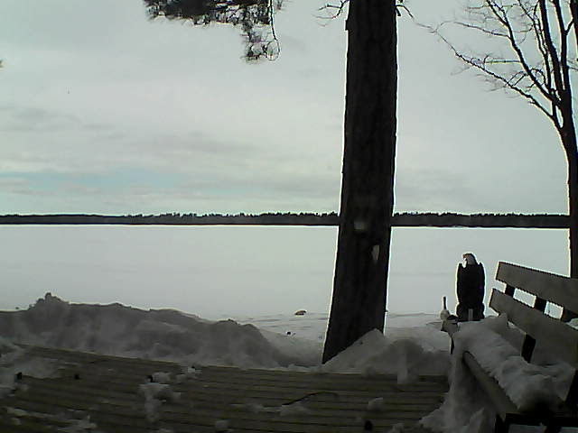 Whiteface Cam Image - Wed, 03/07/2018 2:58pm 