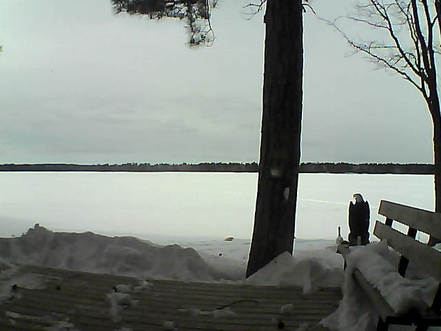 Whiteface Cam Image - Wed, 03/07/2018 3:18pm 