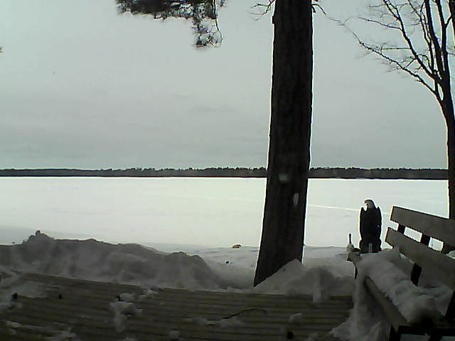 Whiteface Cam Image - Wed, 03/07/2018 3:28pm 