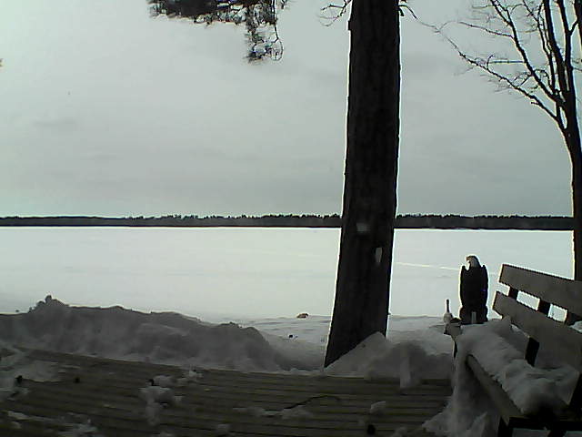 Whiteface Cam Image - Wed, 03/07/2018 3:48pm 