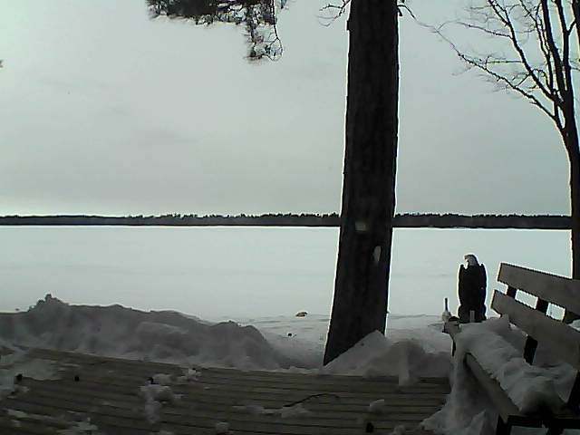 Whiteface Cam Image - Wed, 03/07/2018 4:08pm 