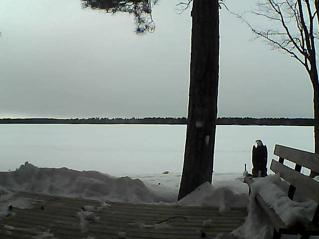 Whiteface Cam Image - Wed, 03/07/2018 4:28pm 