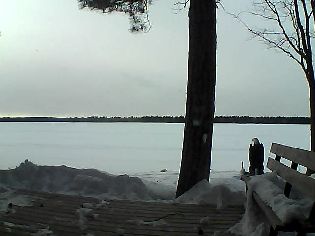 Whiteface Cam Image - Wed, 03/07/2018 4:59pm 