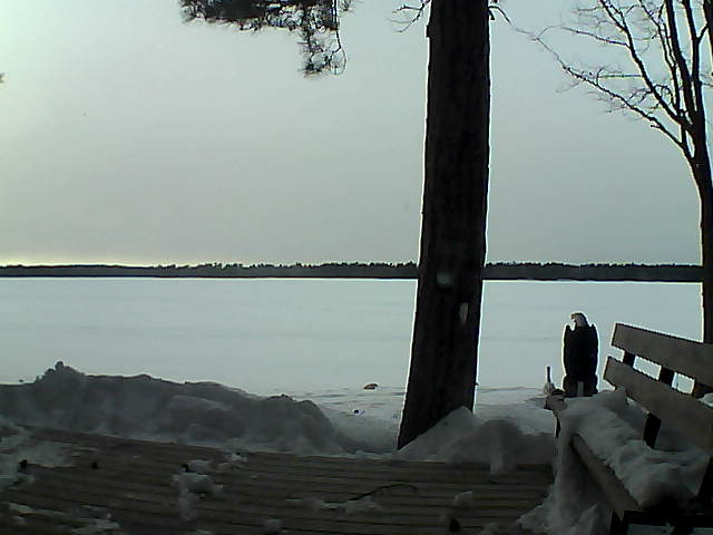 Whiteface Cam Image - Wed, 03/07/2018 5:19pm 