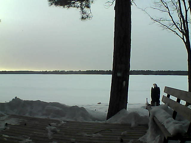 Whiteface Cam Image - Wed, 03/07/2018 5:29pm 