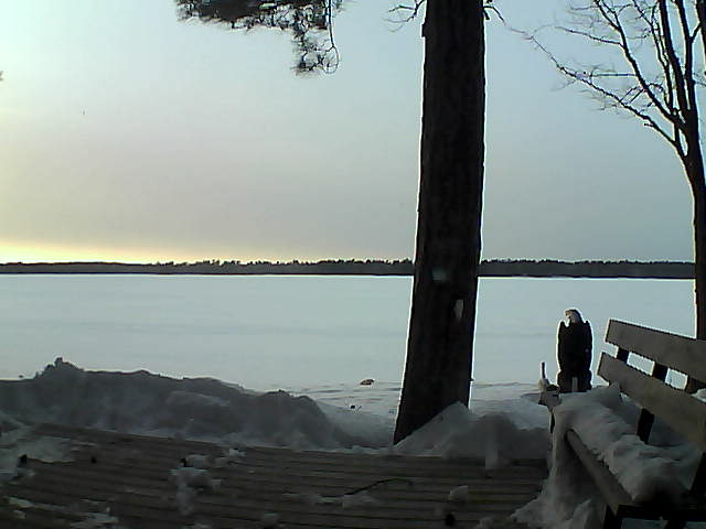 Whiteface Cam Image - Wed, 03/07/2018 5:39pm 