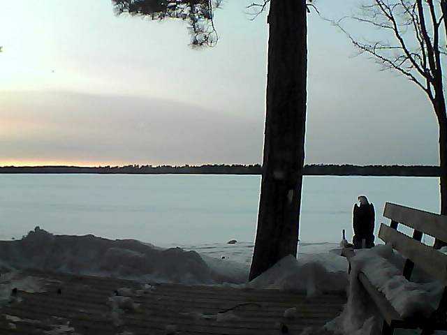 Whiteface Cam Image - Wed, 03/07/2018 6:09pm 