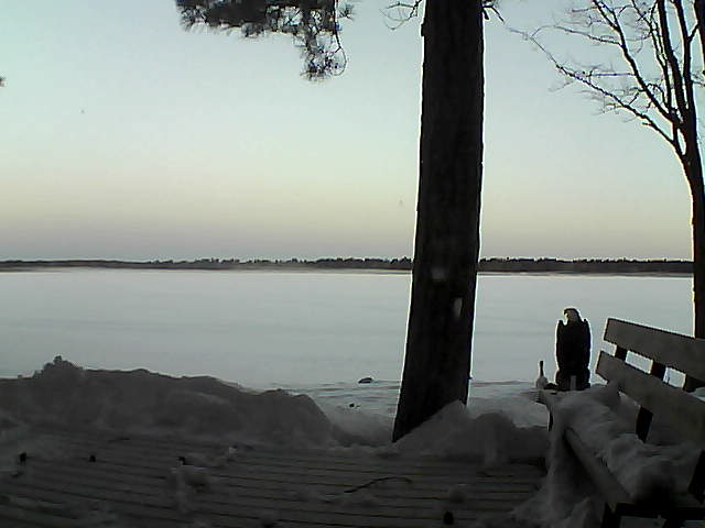 Whiteface Cam Image - Thu, 03/08/2018 6:39am 