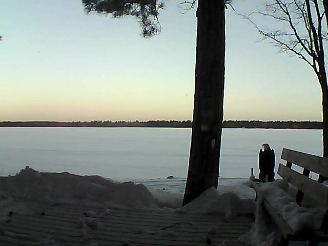 Whiteface Cam Image - Thu, 03/08/2018 6:49am 