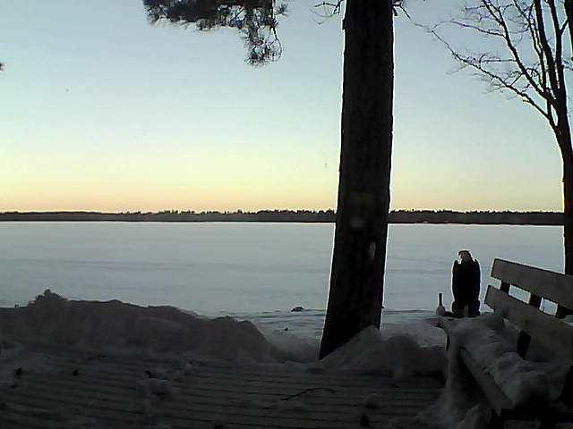 Whiteface Cam Image - Thu, 03/08/2018 6:59am 