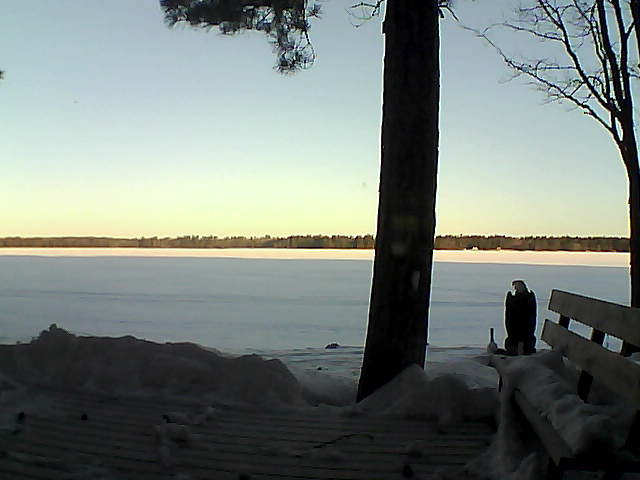 Whiteface Cam Image - Thu, 03/08/2018 7:09am 