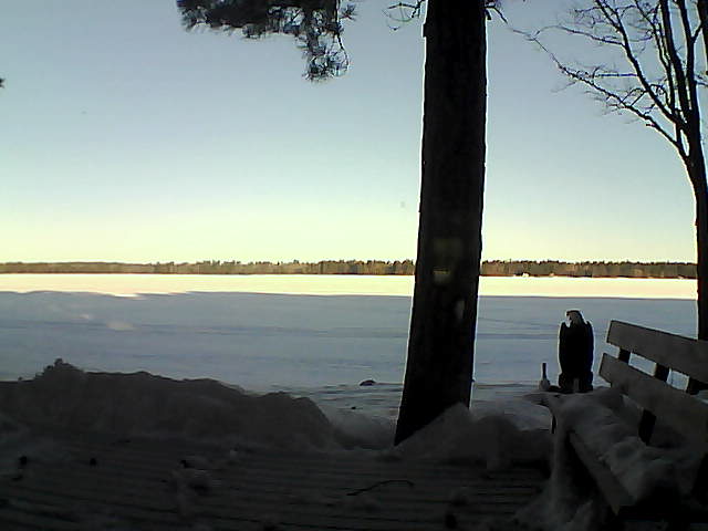 Whiteface Cam Image - Thu, 03/08/2018 7:39am 