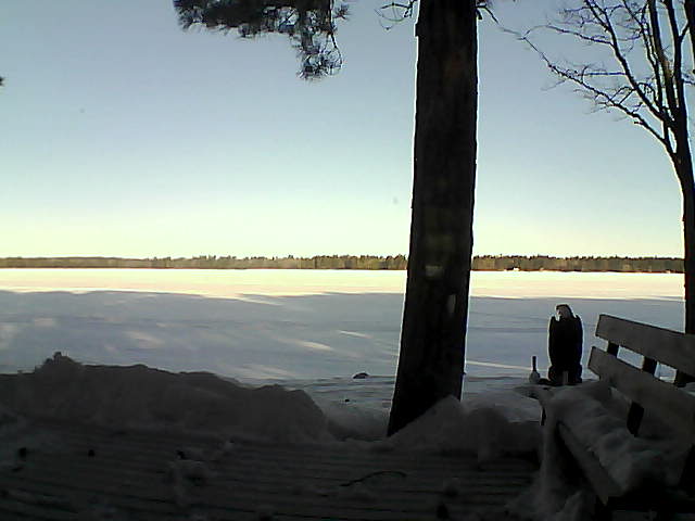 Whiteface Cam Image - Thu, 03/08/2018 7:59am 