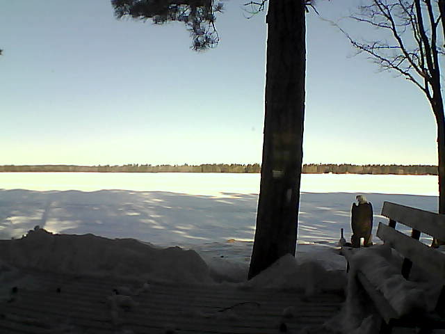 Whiteface Cam Image - Thu, 03/08/2018 8:19am 