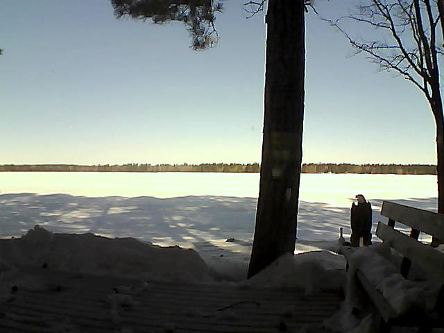 Whiteface Cam Image - Thu, 03/08/2018 8:59am 