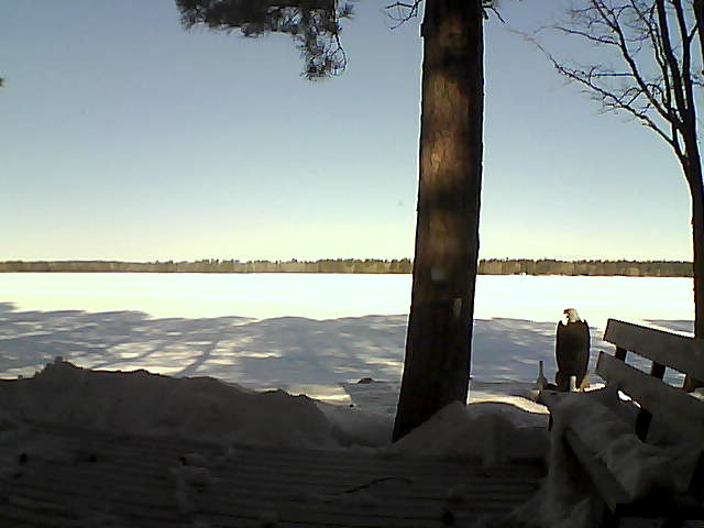 Whiteface Cam Image - Thu, 03/08/2018 9:19am 