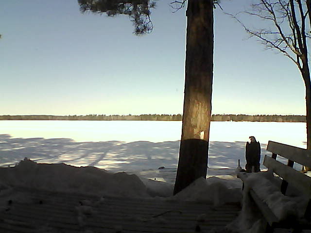 Whiteface Cam Image - Thu, 03/08/2018 9:29am 