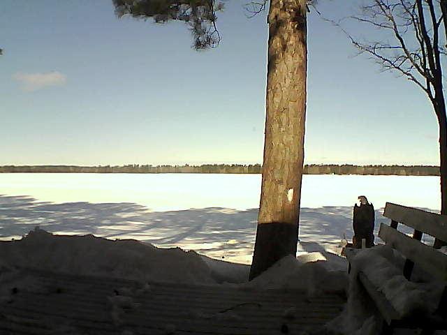 Whiteface Cam Image - Thu, 03/08/2018 9:59am 