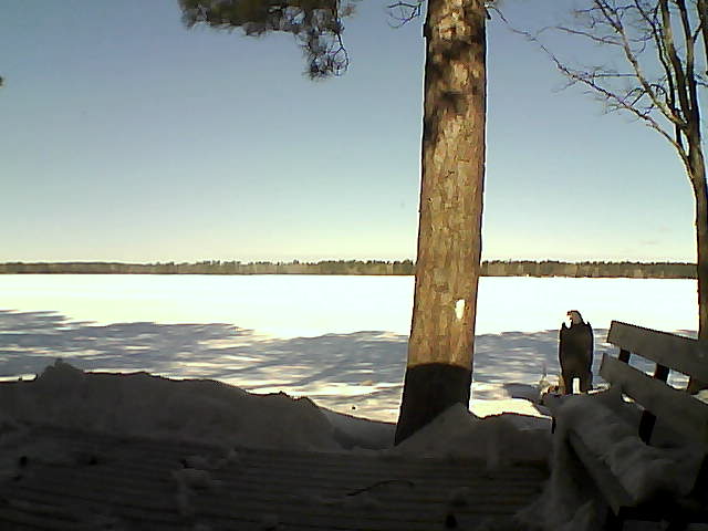 Whiteface Cam Image - Thu, 03/08/2018 10:09am 