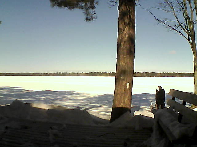 Whiteface Cam Image - Thu, 03/08/2018 10:29am 