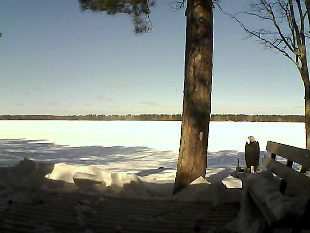 Whiteface Cam Image - Thu, 03/08/2018 10:59am 