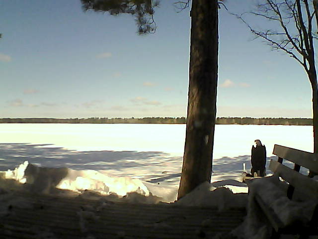 Whiteface Cam Image - Thu, 03/08/2018 11:09am 