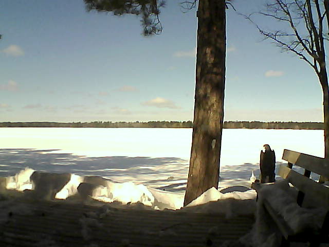 Whiteface Cam Image - Thu, 03/08/2018 11:19am 